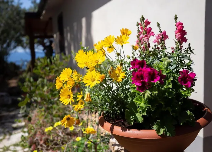 Dei Pini Apartamento Joppolo