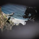 Dei Pini * Ioppolo