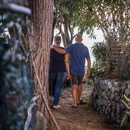 Appartement Dei Pini Joppolo