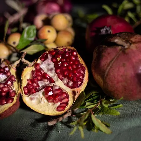 Dei Pini Appartement